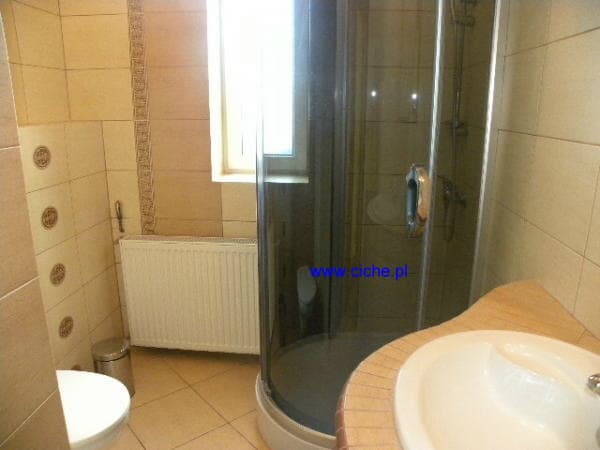 A bathroom with a shower cabin in the guest room in Ciche.